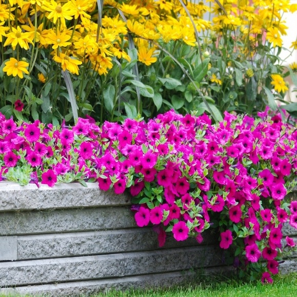 Meet your Posher, Courtney - Picture 3 of 3